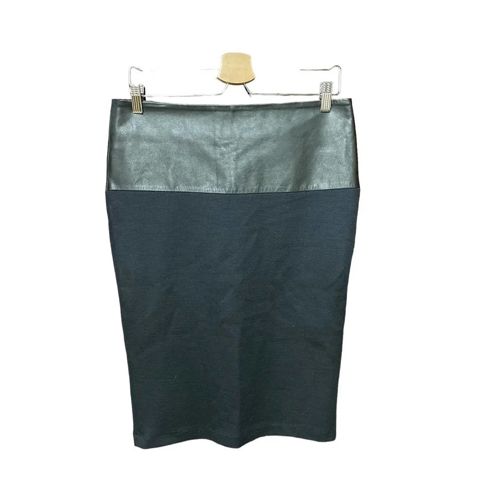 Jarbo Leather Band Pencil Skirt in Black Size 38 / US 8-10